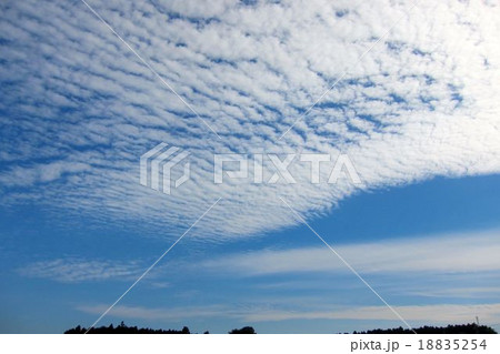鰯雲 18835254