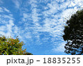 鰯雲 18835255