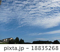 鰯雲 18835268