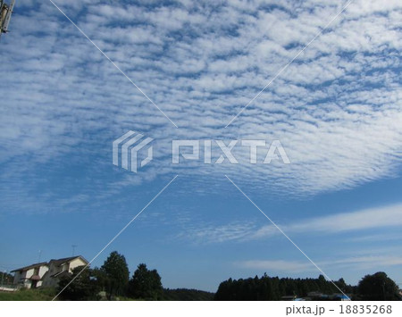 鰯雲 18835268