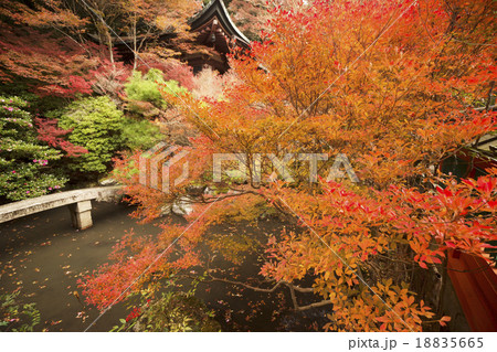 紅葉の庭園 18835665