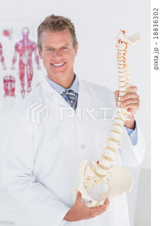 Happy doctor showing anatomical spine Happy doctor showing anatomical spine 18836302