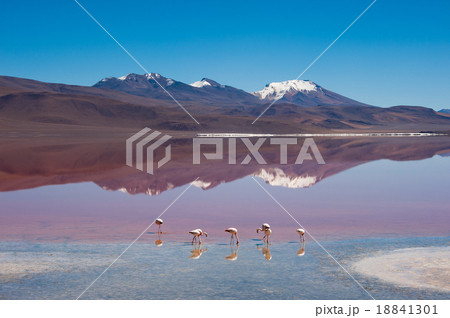 Laguna Kara with reflection of the mountain Laguna Kara with reflection of the mountain 18841301