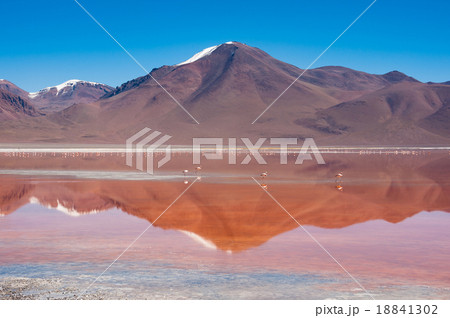 Laguna Kara with reflection of the mountain Laguna Kara with reflection of the mountain 18841302