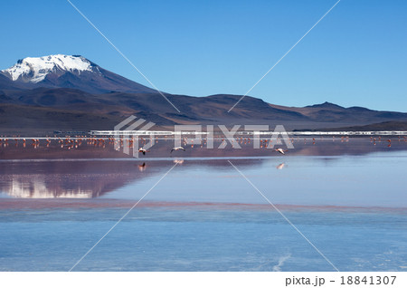 Laguna Kara with reflection of the mountain 18841307
