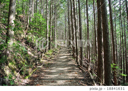 熊野古道 中辺路 熊野古道 中辺路 18841631