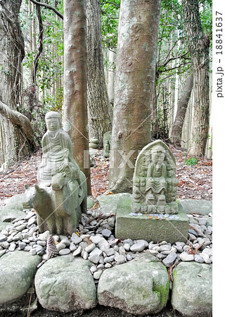 熊野古道 牛馬童子 熊野古道 牛馬童子 18841637