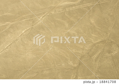 Nazca Lines 18841708