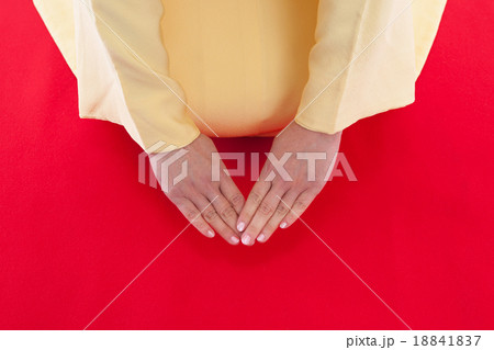 お正月のご挨拶　　女性　　着物 18841837