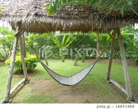 bamboo hammock 18841966