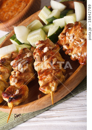 Chicken satay sprinkled with peanuts macro Chicken satay sprinkled with peanuts macro 18842789
