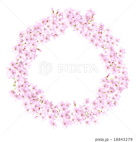 桜の花 丸フレームのイラスト素材 18843279 Pixta
