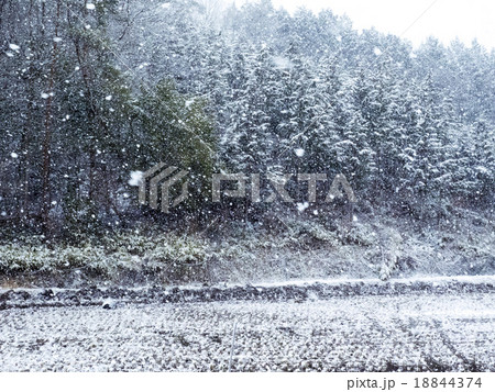舞い散る雪 18844374