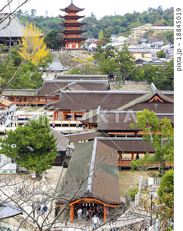 厳島の風景 厳島の風景 18845019