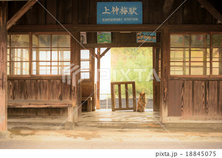 臨時駅長 18845075