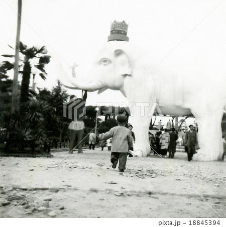昭和148 18845394