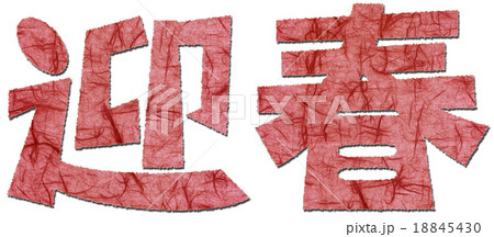 迎春２ 18845430