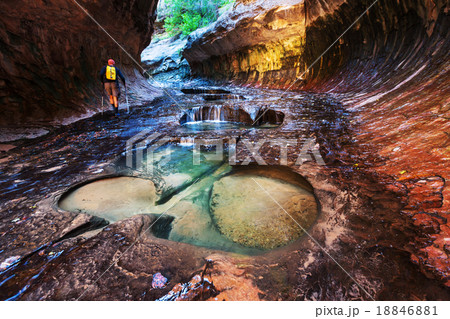 Canyon in Zion 18846881