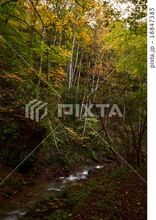 秋の渓流を歩く 18847385
