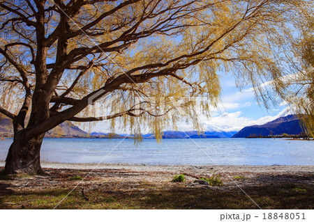 beautiful scenic of lake wanaka in new zealand beautiful scenic of lake wanaka in new zealand 18848051