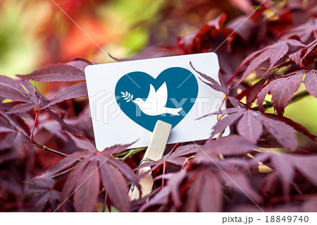 The Dove of Peace inside a heart The Dove of Peace inside a heart 18849740