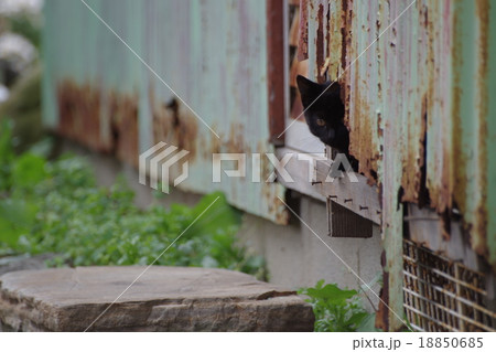 どちら様？ 18850685