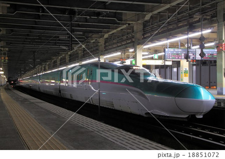大宮駅に停車中の東北新幹線E5系 18851072