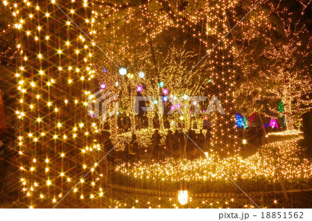 クリスマスイルミネーション 18851562