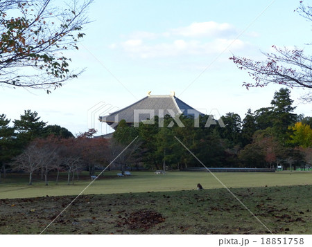 東大寺の屋根 18851758