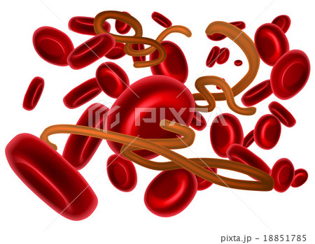 Ebola Virus and Red Blood Cells 18851785