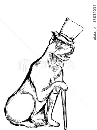 dog with hat 18852035
