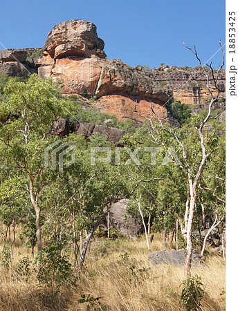 Kakadu National Park, Australia Kakadu National Park, Australia 18853425