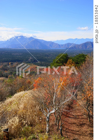 11月紅葉台・鳴沢村18本栖湖方面の紅葉 18853842