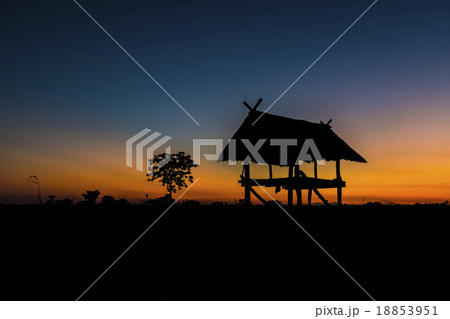 Nature landscape Nature landscape 18853951