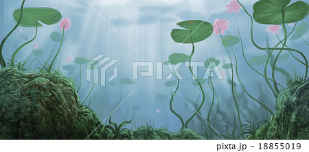 lotus under water 18855019