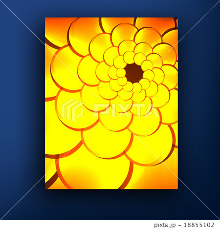 Vector brochure booklet cover design templates Vector brochure booklet cover design templates 18855102