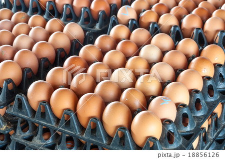 Eggs from chicken farm in the package Eggs from chicken farm in the package 18856126