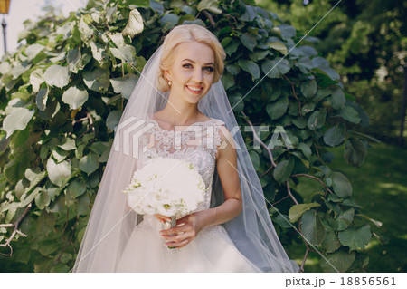 wedding sunshine day 18856561