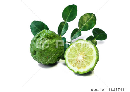 Fresh Kaffir lime and leaf, citrus fruit. Fresh Kaffir lime and leaf, citrus fruit. 18857414