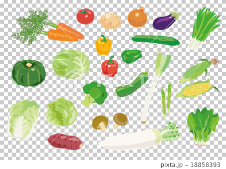 Various vegetables Various vegetables 18858393