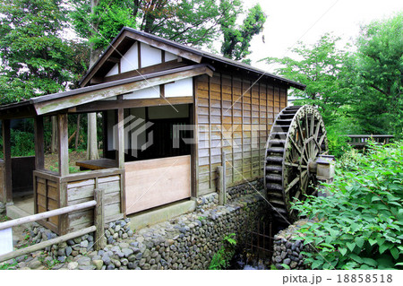 向島用水親水路 向島用水親水路 18858518