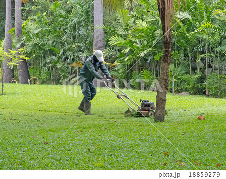 cutting grass cutting grass 18859279