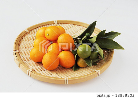 キンカン キンカン 18859502