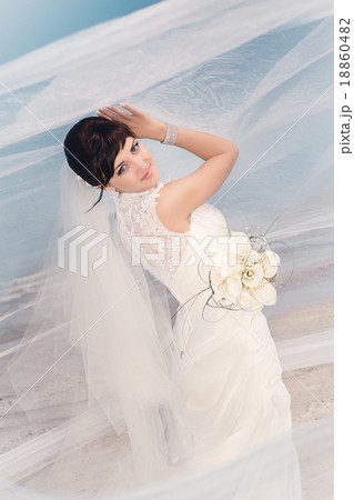 Portrait of beautiful bride standing by the beach 18860482