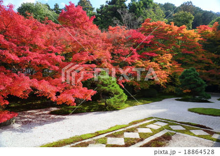 京都 秋の天授庵 京都 秋の天授庵 18864528