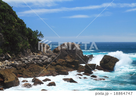 夏の周参見海岸 18864747