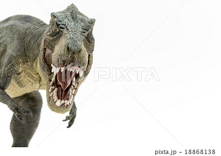 口を開けているティラノサウルスのおもちゃの写真素材