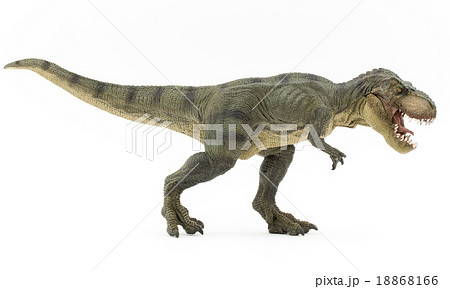 ティラノサウルスの全身 18868166