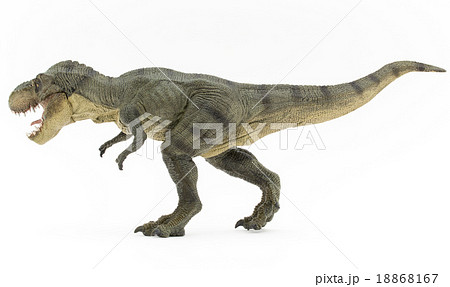 ティラノサウルスの全身の写真素材