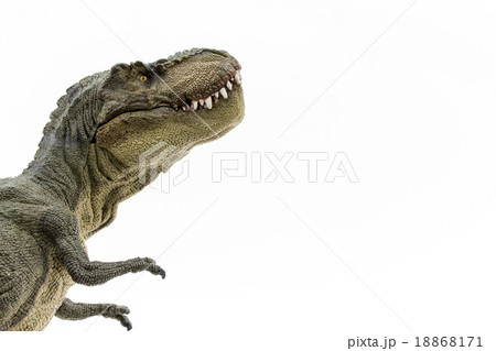 不思議がるティラノサウルス 不思議がるティラノサウルス 18868171